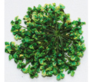 Severina Сухоцветы Dried flowers тон Fm23 светло-зеленый