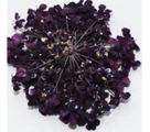 Severina Сухоцветы Dried flowers тон Fm27 фиолетовый