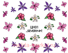 Severina  " "   01