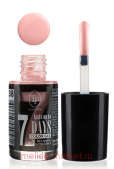 Triumph     238    8 