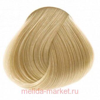 Concept - PROFY Touch 12.0    100 