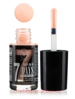 Triumph     207    8 