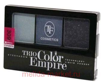 Triumph      309   CTE22 35 