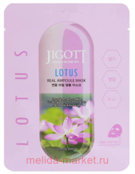  Jigott     Lotus 27  280184