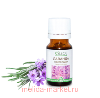 ����� ����� ������� ������� ��������� 10��