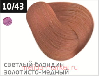 OLLIN PERFORMANCE 10/43   - 60  -  