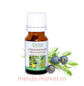 ����� ����� ������� ������������ ������������ 10��