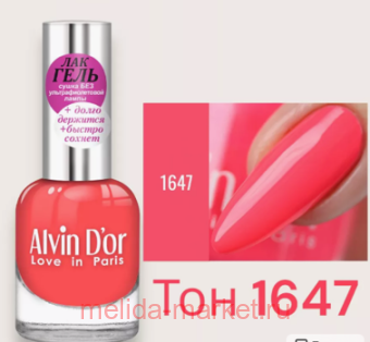 Alvin D`or -    1647  - 12