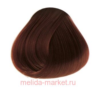 Concept - PROFY Touch 6.4 - 100 