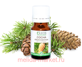 ����� ����� ������� ����� ������������ 10��