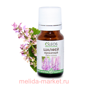 ����� ����� ������� ������ ��������� 10��