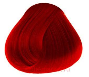 Concept ������� PROFY Touch ������� 100 ��