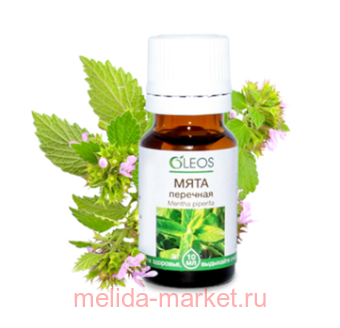 ����� ����� ������� ���� �������� 10��