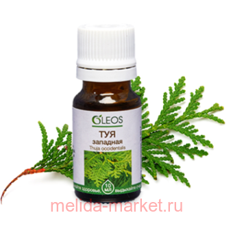 ����� ����� ������� ��� �������� 10��