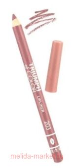 Triumph     203 - CW-212