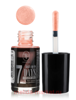 Triumph     256    8 