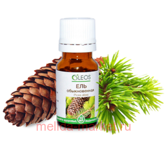 ����� ����� ������� ��� ������������ 10��