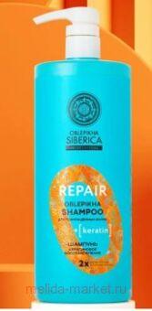 OBLEPIKHA SIBERICA       1000 