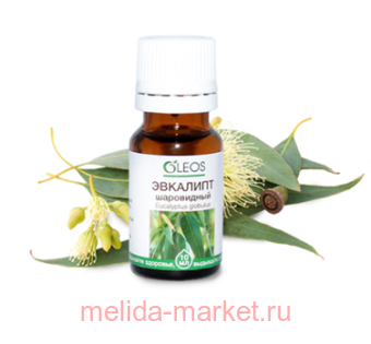 ����� ����� ������� �������� ���������� 10��