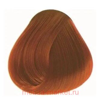 Concept - PROFY Touch 9.44 -  100 