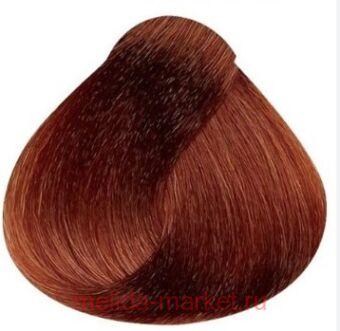 Concept - PROFY Touch 8.4 -  100 