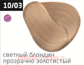 OLLIN COLOR 10/03   - 60  -  