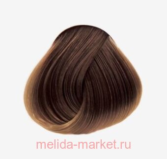 Concept - PROFY Touch 6.73  - 100 