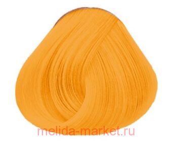 Concept ������� PROFY Touch ������ 100 ��