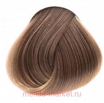 Concept - PROFY Touch 8.00   100 