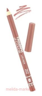 Triumph     202 - CW-212