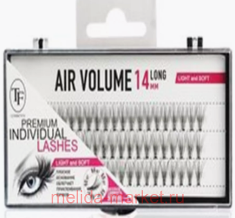 Triumph   Long Air Volume 211 