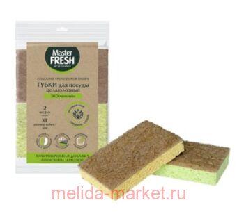 MASTER FRESH     XL    2  