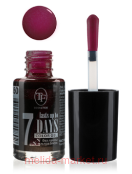 Triumph     260 -   8 