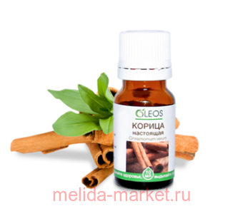 ����� ����� ������� ������ ��������� 10��