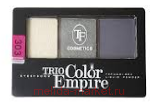 TF Тени для век 3х цв."Trio Color Empire " СTE22 тон 303(срок до 12.22)