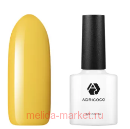 AdriCoco ����-��� ������� ��� 154 ������ ����� 8 ��
