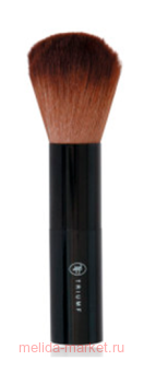 Triumph ����� � 10 ��� ��������� ����� (����� BP01)