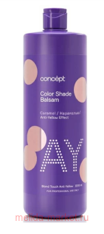 Concept ���������� ������� ������ ����������� ����� 1000��