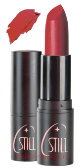 STILL      All Dreams  180  