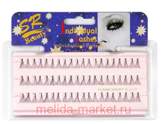 Beauty Seven star   short 10