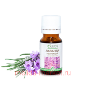 ����� ����� ������� ������� ��������� 10��