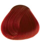 Concept  PROFY Touch  100 