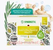 Synergetic       90  500101