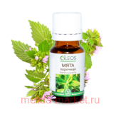 ����� ����� ������� ���� �������� 10��