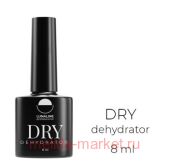 LunaLine ���������� 8��