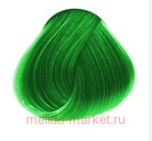 Concept  PROFY Touch  100