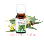 ����� ����� ������� �������� ���������� 10��