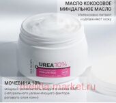 NOVOSVIT      10% 300