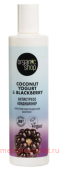 ORGANIC SHOP      Coconut Yogurt&Blackberry 280 