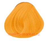 Concept  PROFY Touch  100 